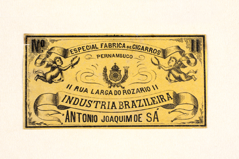 vizualizar o documento on line